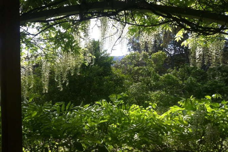 Photo of property in 8 Drivers Road, Maori Hill, Dunedin, 9010