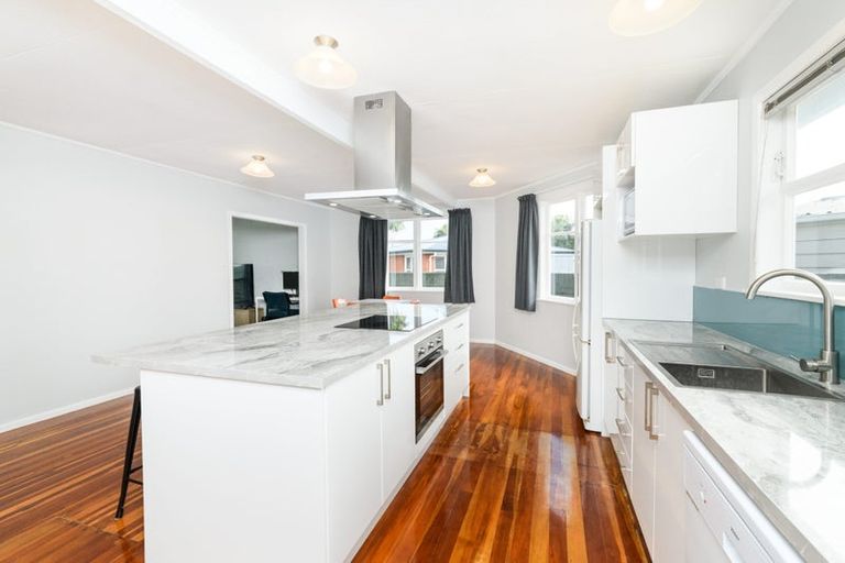 Photo of property in 46 Leicester Street, Terrace End, Palmerston North, 4410