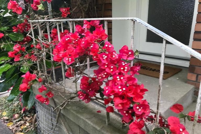 Photo of property in 2/5 Keldale Place, Forrest Hill, Auckland, 0620