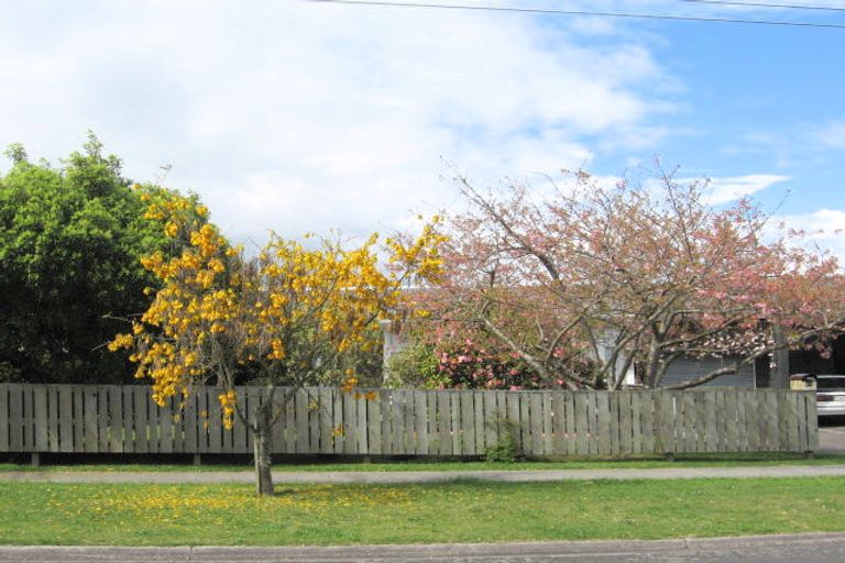 Photo of property in 41 Tui Street, Taupo, 3330