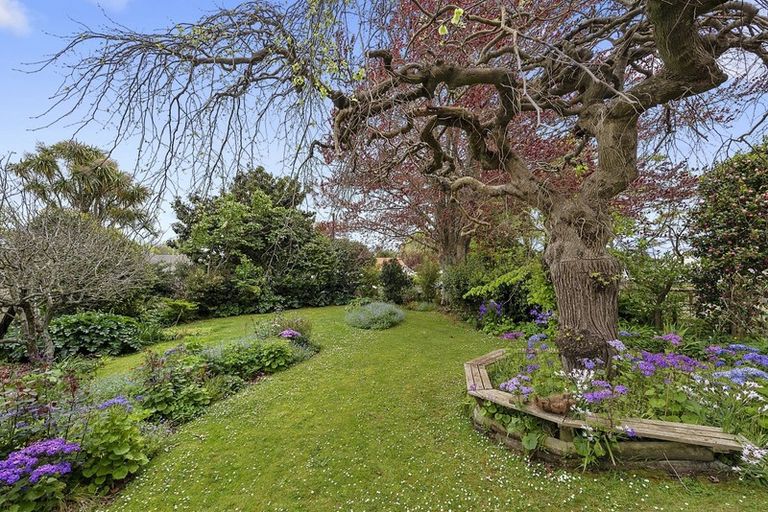 Photo of property in 428 Thames Street, Morrinsville, 3300