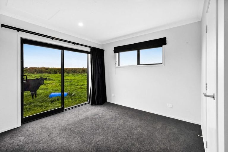 Photo of property in 62 Hassard Street, Manaia, 4612