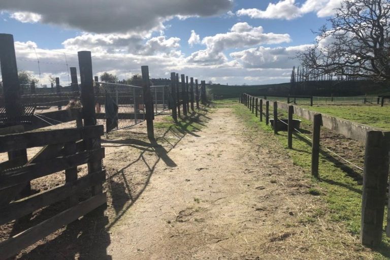 Photo of property in 34 Hetherington Road, Tirau, 3485