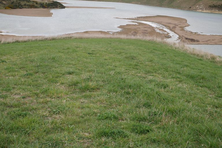 Photo of property in 360 Thorburn Road, Waikouaiti, 9472