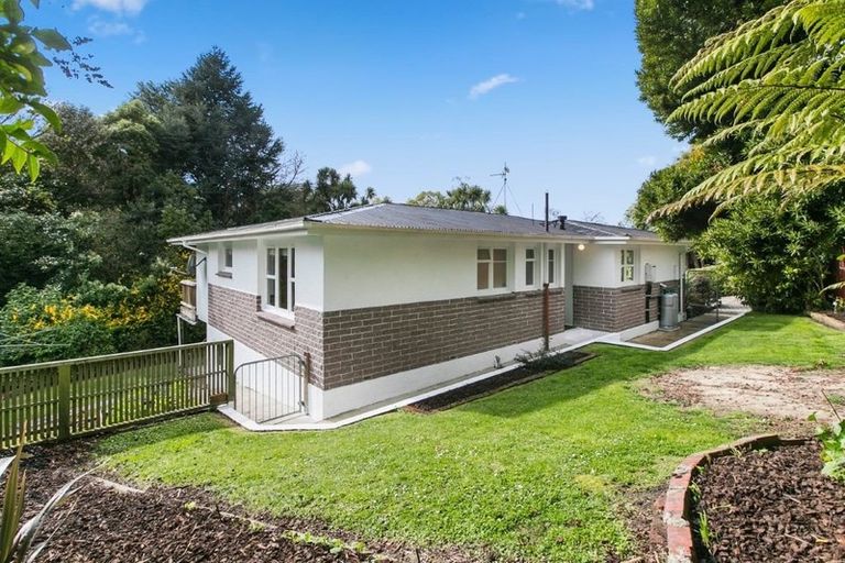 Photo of property in 49 Pacific Street, Roslyn, Dunedin, 9010