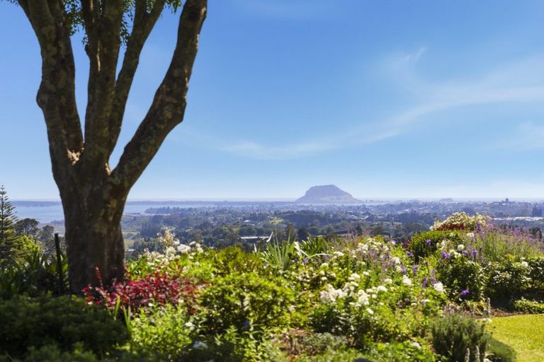 Photo of property in 179b Crawford Road, Minden, Tauranga, 3171