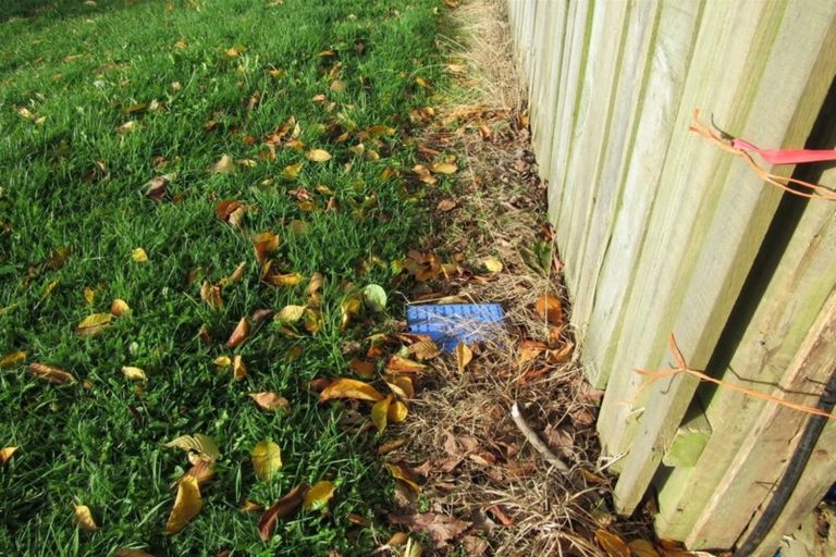 Photo of property in 43 Hussey Street, Waverley, 4510