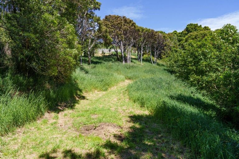 Photo of property in 24 Fred Hollows Way, Glenleith, Dunedin, 9010