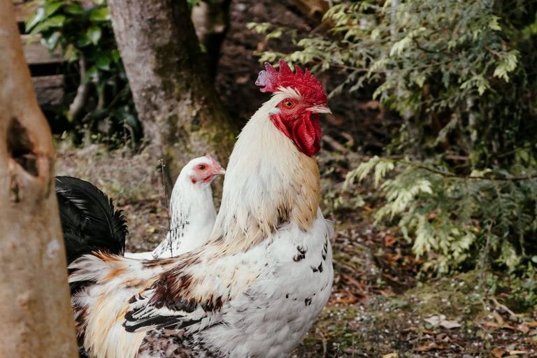 Photo of property in 92b Lake Kaniere Road, Blue Spur, Hokitika, 7811