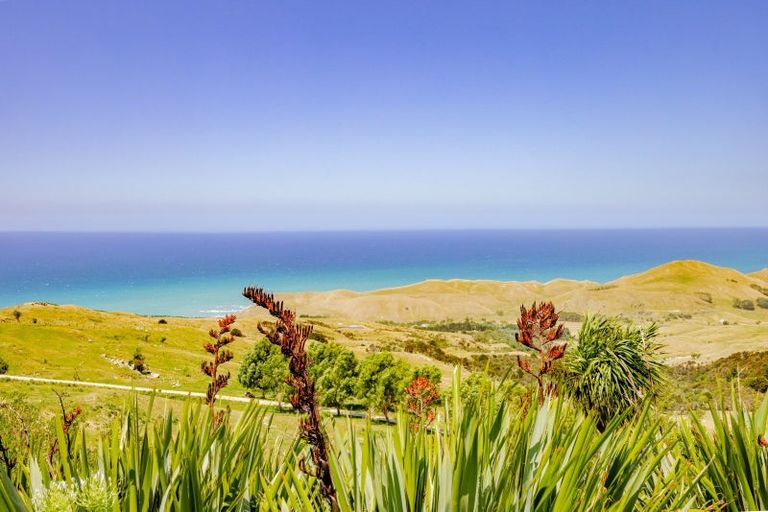 Photo of property in 1165 Cooks Tooth Road, Porangahau, 4293