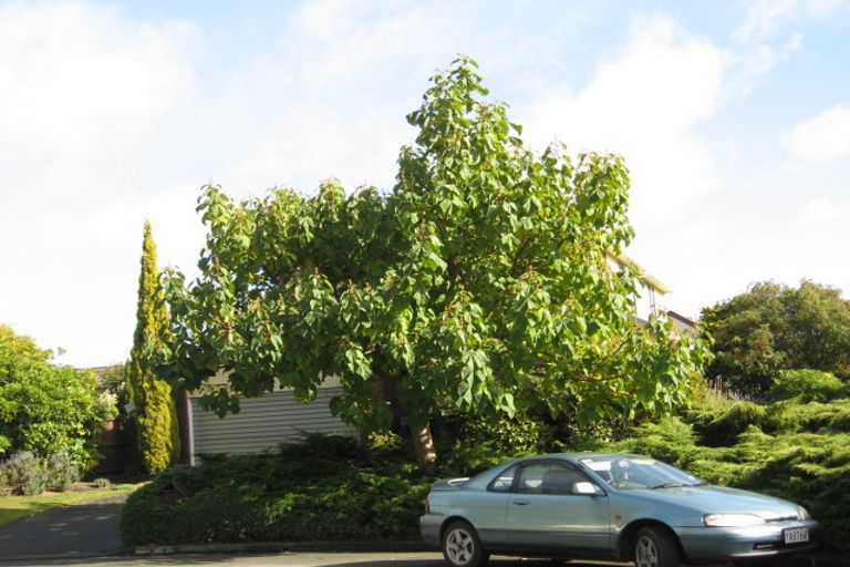 Photo of property in 24 Tyndale Place, Ilam, Christchurch, 8041