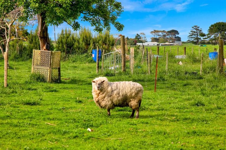 Photo of property in 593 Auroa Road, Auroa, Hawera, 4678