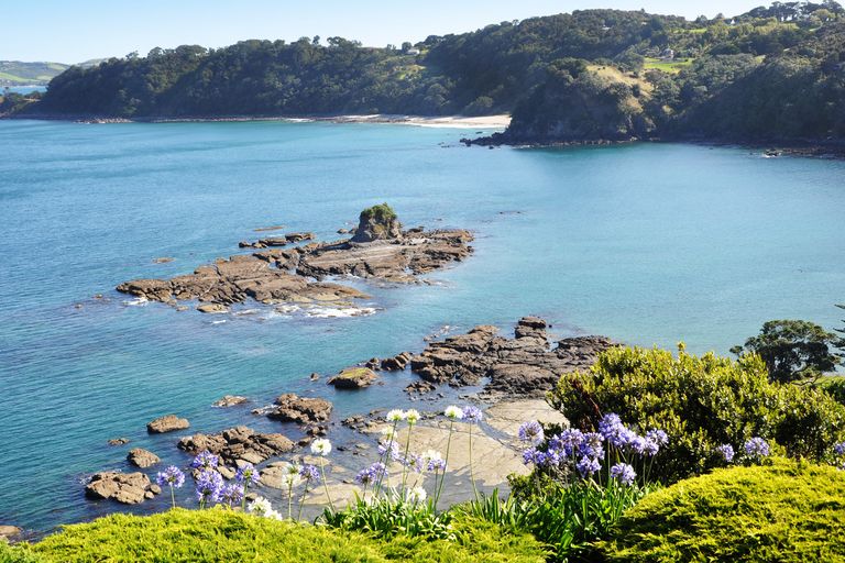 Photo of property in 25 Hillside Crescent, Leigh, 0985