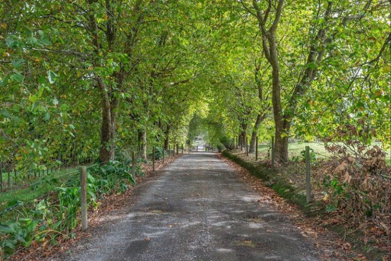 Photo of property in 73 Wakefield Road, Levin, 5571