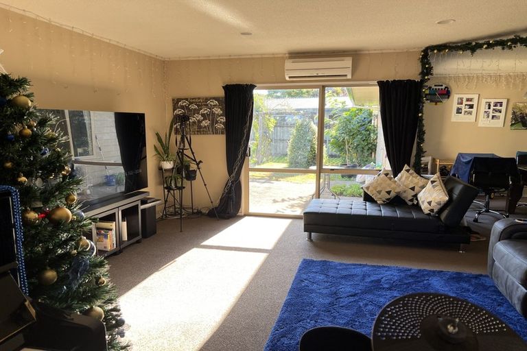 Photo of property in 14 Commodore Avenue, Flagstaff, Hamilton, 3210