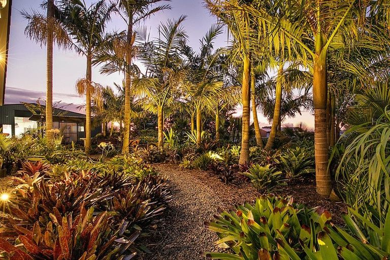 Photo of property in 129 Ostrich Farm Road, Pukekohe, 2676