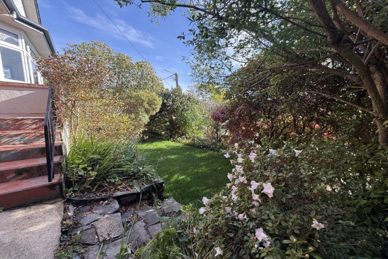 Photo of property in 30 Charlotte Street, Roslyn, Dunedin, 9010