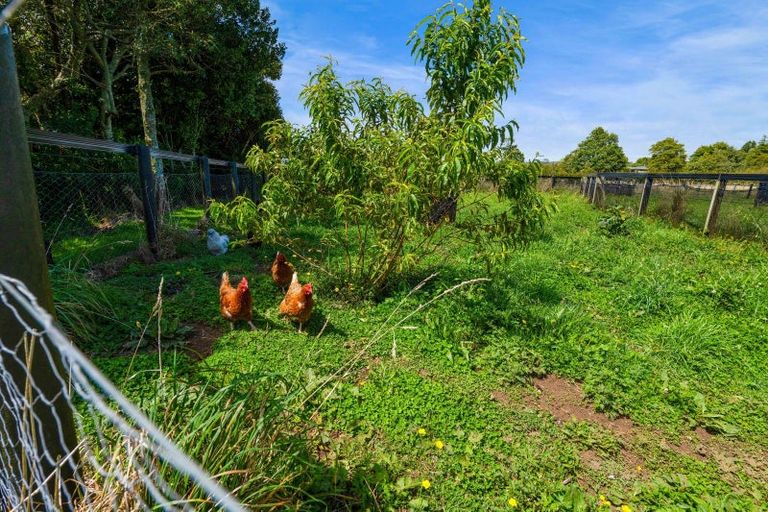 Photo of property in 157 Norfolk Road, Norfolk, Inglewood, 4388