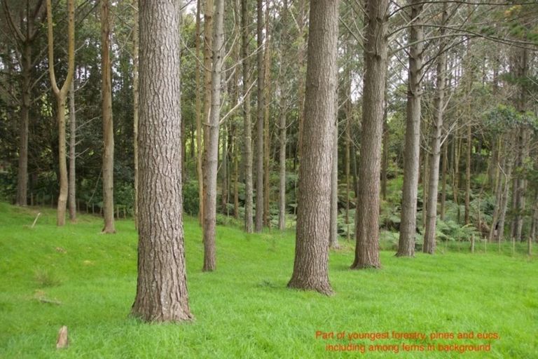 Photo of property in 648 Haruru Road, Kaukapakapa, 0873