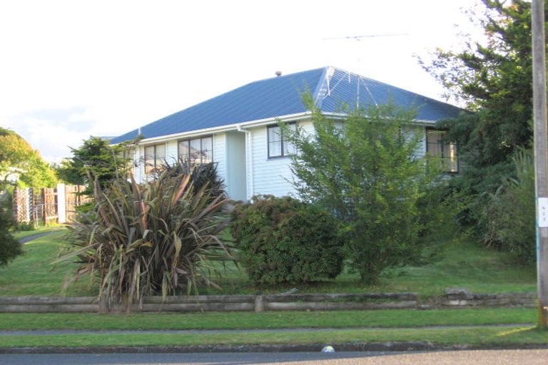Photo of property in 46 Papanui Street, Tokoroa, 3420