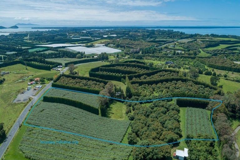 Photo of property in 56 Kauri Point Road, Laingholm, Auckland, 0604