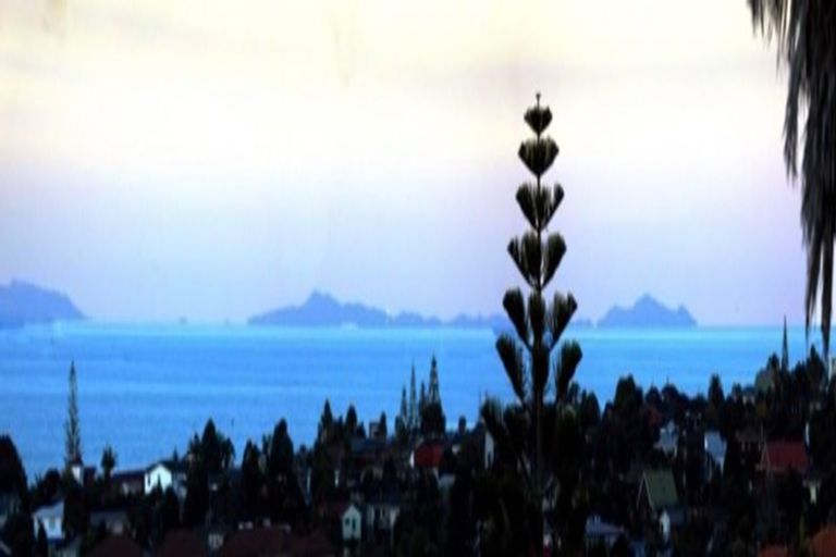 Photo of property in 22 Whangaparaoa Road, Red Beach, 0932