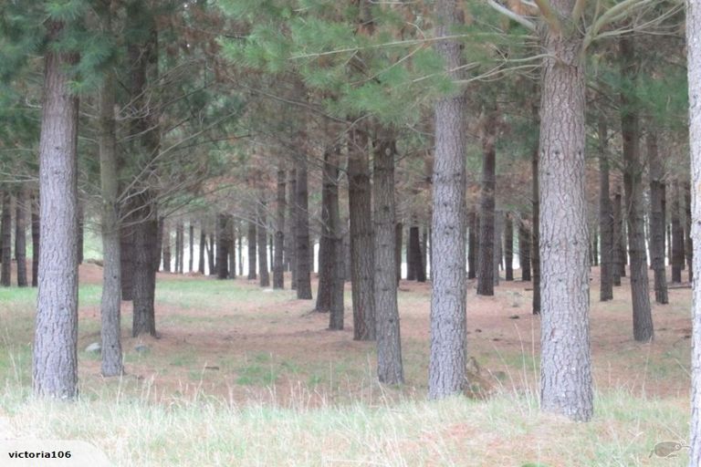 Photo of property in 62 Quarry Road, Loburn, Rangiora, 7472