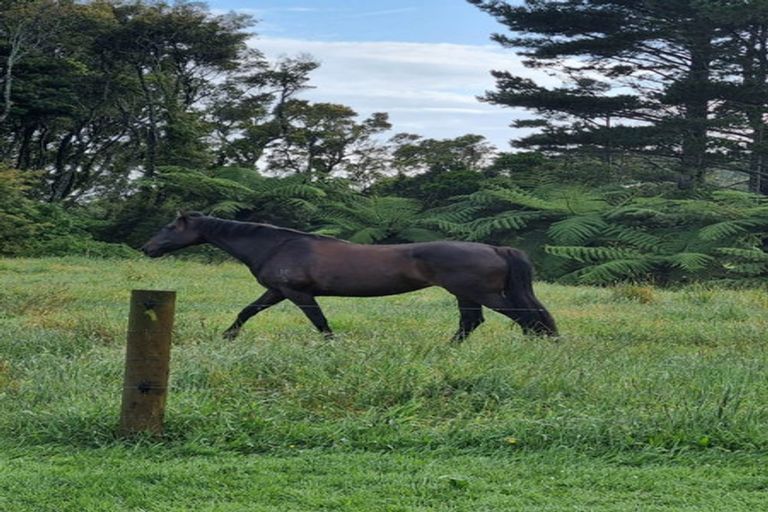 Photo of property in 1225 Frankley Road, Hurworth, New Plymouth, 4371