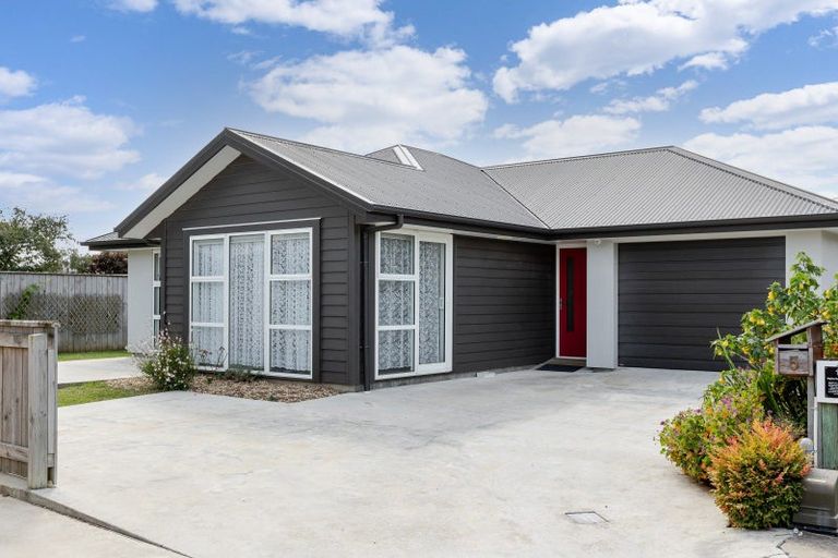 Photo of property in 3/5 Brigidine Place, Pahiatua, 4910