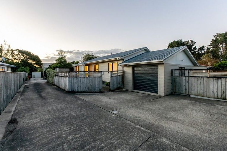 Photo of property in 49a Leinster Avenue, Raumati South, Paraparaumu, 5032