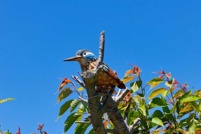 Photo of property in 297 Scarborough Street, Kaikoura, 7300