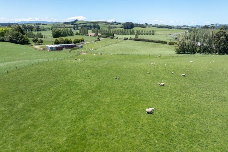 Photo of property in 23 Waikaka Valley Highway, Willowbank, Gore, 9771