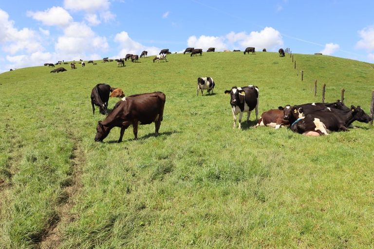 Photo of property in 888a Otaraoa Road, Tikorangi, Waitara, 4383