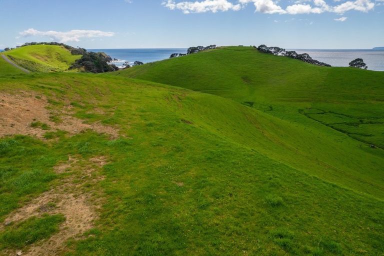 Photo of property in 118 Rockell Road, Whananaki, Hikurangi, 0181