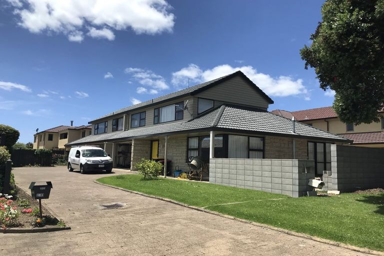 Photo of property in 81a Sixth Avenue, Tauranga, 3110