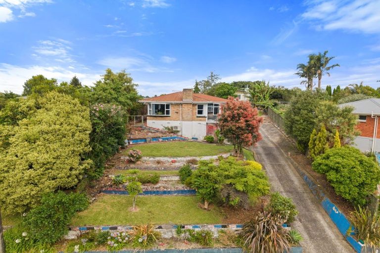 Photo of property in 19 Bledisloe Avenue, Putaruru, 3411