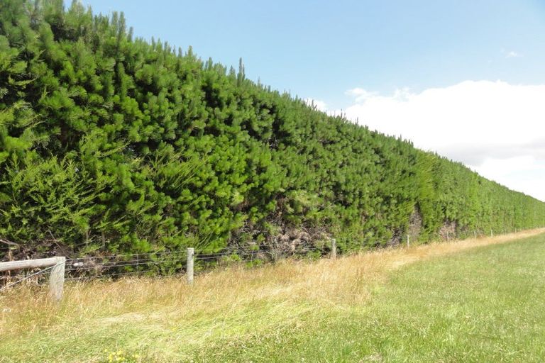 Photo of property in 56 Mina Road, Cheviot, 7382