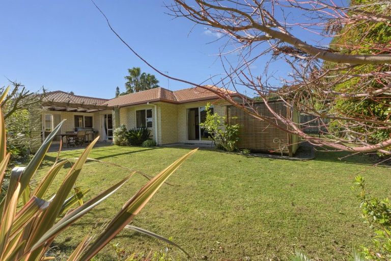 Photo of property in 16 Edwin Grove, Bethlehem, Tauranga, 3110
