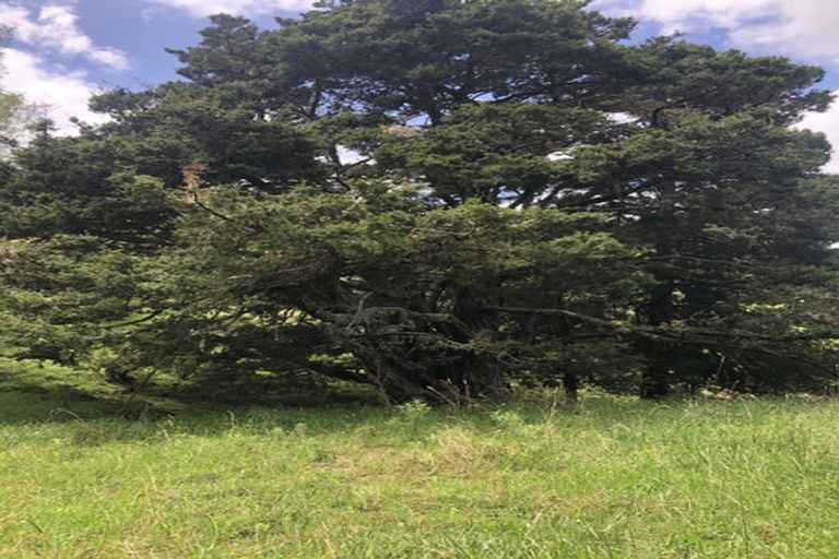 Photo of property in 725 Golden Stairs Road, Mareretu, Maungaturoto, 0589