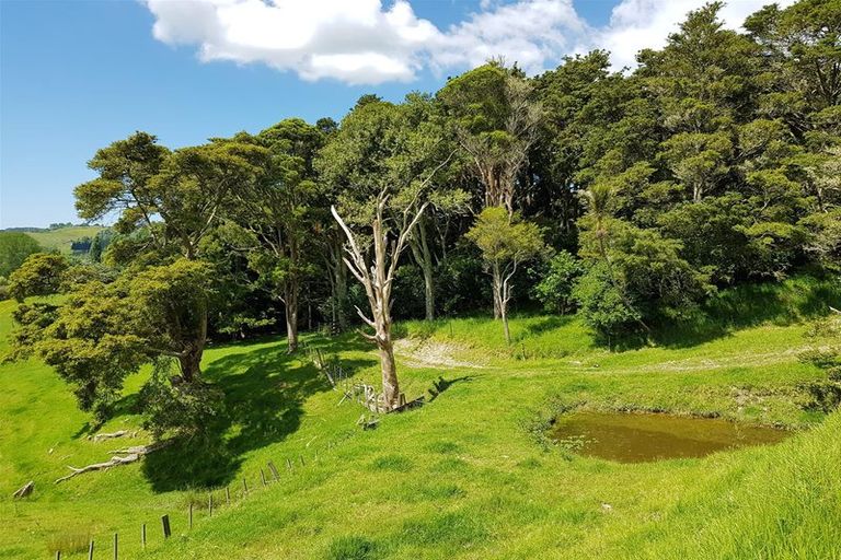 Photo of property in 87 Hurndall Street East, Maungaturoto, 0520