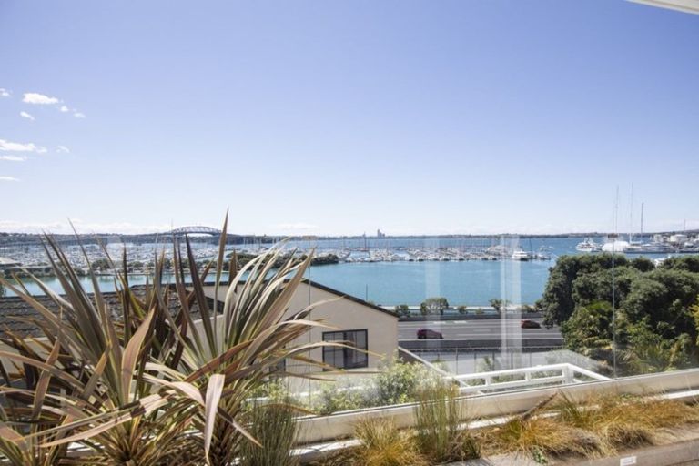 Photo of property in 21 London Street, Hampden, 9410