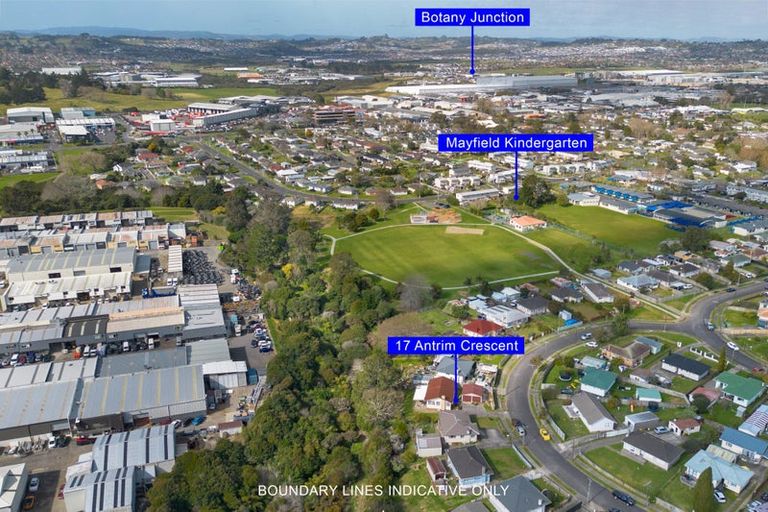 Photo of property in 17 Antrim Crescent, Otara, Auckland, 2023