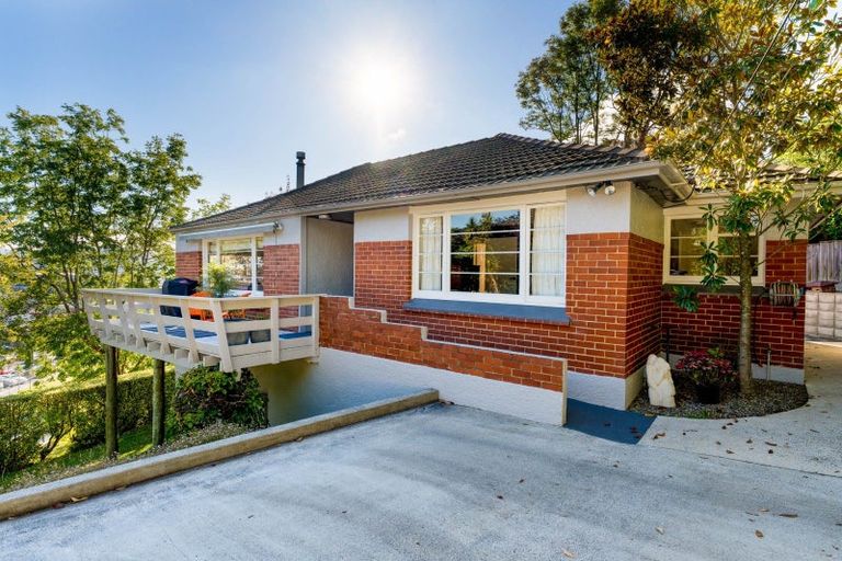 Photo of property in 45 Easther Crescent, Kew, Dunedin, 9012