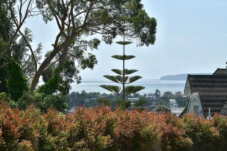 Photo of property in 60 Albatross Road, Red Beach, 0932