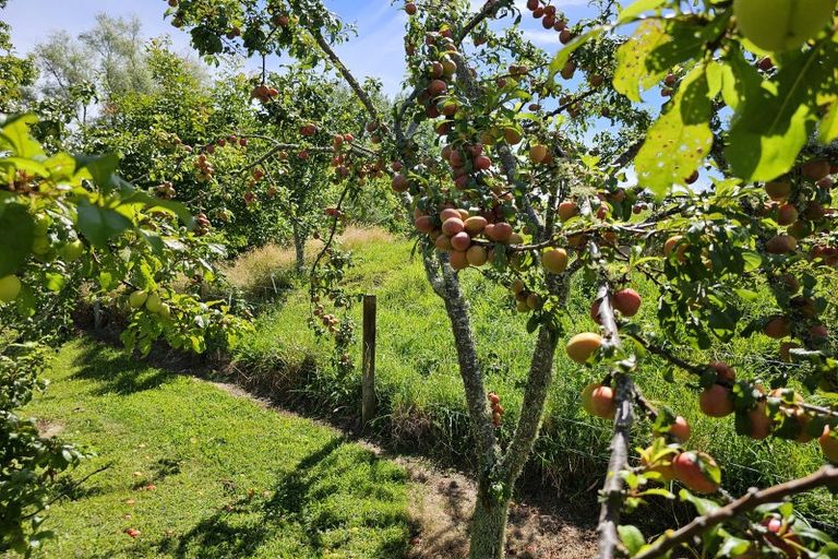 Photo of property in 105 Hossack Road, Ngakuru, 3077