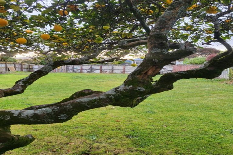 Photo of property in 1a Herrick Street, Marewa, Napier, 4110