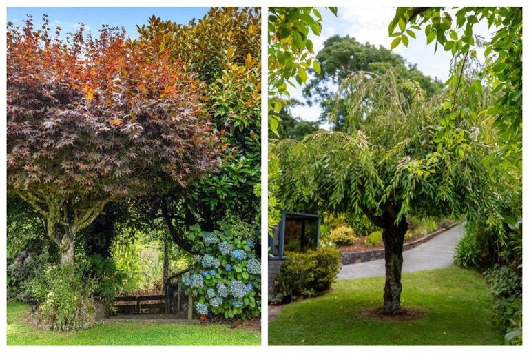 Photo of property in 7 Furniss Lane, Tauriko, Tauranga, 3110