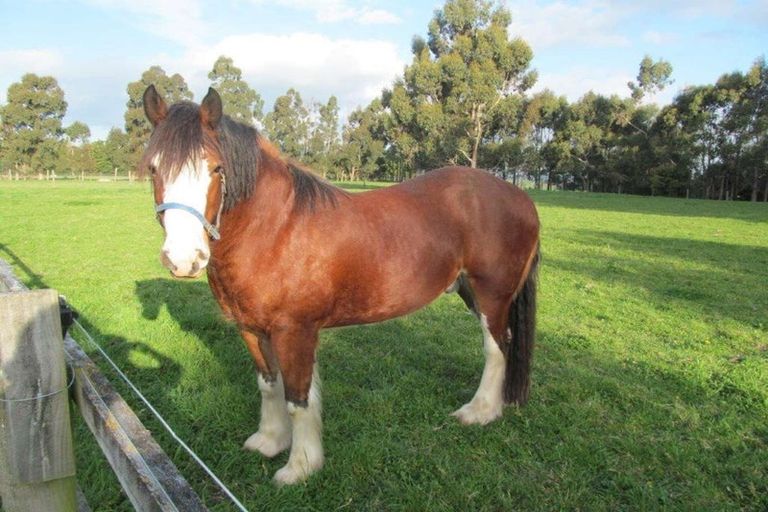 Photo of property in 149 Terrace Road, Cust, Rangiora, 7471