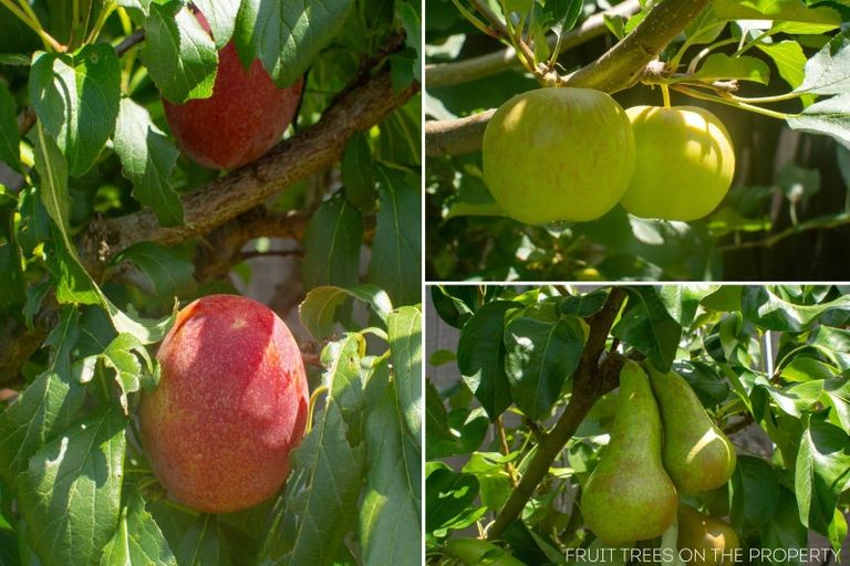 Photo of property in 3 Hanlow Place, Pyes Pa, Tauranga, 3112