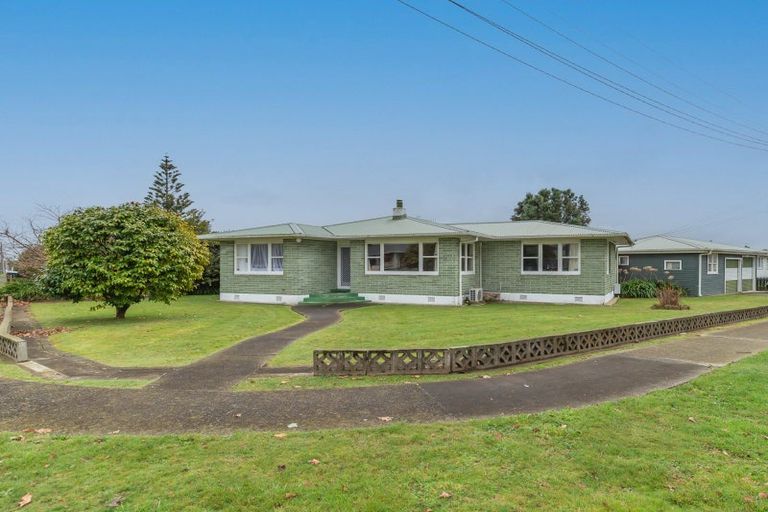 Photo of property in 18 Matai Street, Levin, 5510